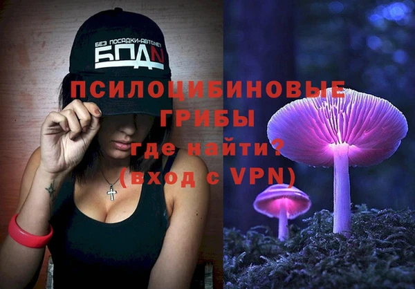 стафф Майский