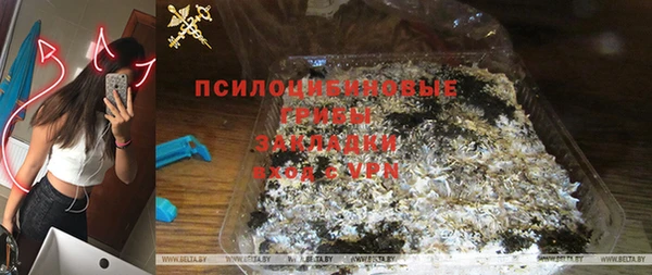 стафф Майский