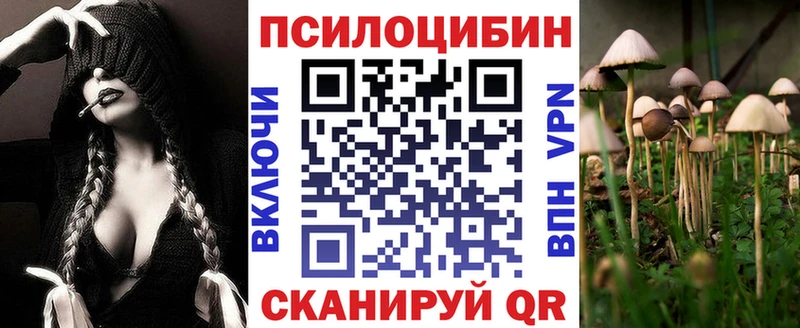 Галлюциногенные грибы Psilocybine cubensis  Купить где  Агидель 